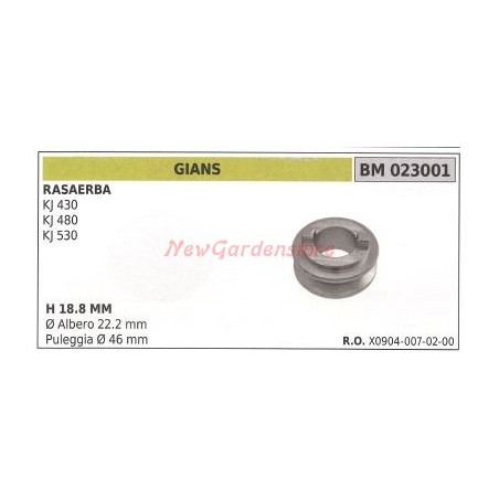 Rasenmäher-Riemenscheibe für Rasenmäher KJ430 480 530 GIANS 023001 | Newgardenstore.eu