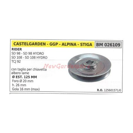 Puleggia per trattorino rasaerba tosaerba tagliaerba rider SD 98 98HYDRO 026109 | Newgardenstore.eu