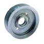 Lawn tractor belt tensioner pulley compatible GGP PIATTO NJ98