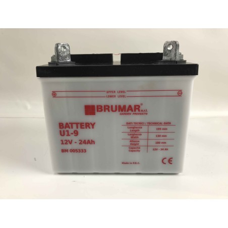 U1-9 Säure-Batterie für Rasentraktor snapper murray mtd efco toro 12v 24ah 005333 | Newgardenstore.eu