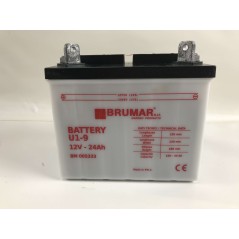 Batteria ad acido U1-9 trattorino tagliaerba murray mtd efco toro 12v 24ah 005333 | Newgardenstore.eu