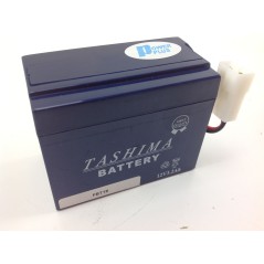 Batteria al GEL ET-FBT19 per B&S TECUMSEH BLUE SKY 12V 3AH 008987 | Newgardenstore.eu