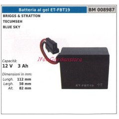 ET-FBT19 GEL battery for B&S TECUMSEH BLUE SKY 12V 3AH 008987 | Newgardenstore.eu