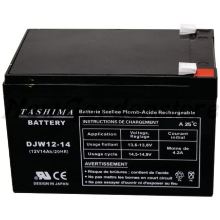 Batterie Elektrostarter Rasentraktor 12V 14Ah 57970046 | Newgardenstore.eu