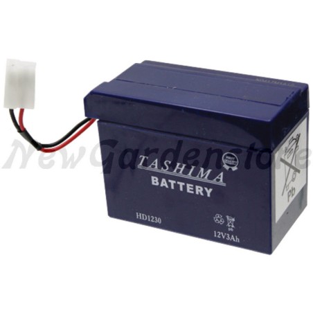 Batterie Elektrostarter Rasentraktor 12V 3Ah 57970050 | Newgardenstore.eu