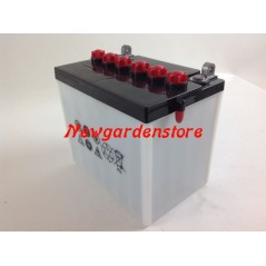 12V 24Ah 12N24-3A Elektro-Rasentraktor-Mäher-Starterbatterie | Newgardenstore.eu