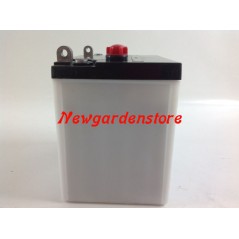 12V 24Ah 12N24-3A Elektro-Rasentraktor-Mäher-Starterbatterie | Newgardenstore.eu