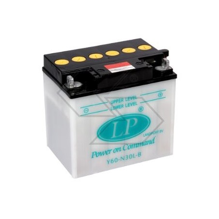 Electric battery for various DRY models Y60-N30-B 30 Ah 12 V pole + right | Newgardenstore.eu