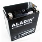 ALADIN 12V 14Ah hermetische Gelbatterie Pluspol links für Rasentraktor