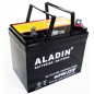 Batteria ermetica al gel ALADIN 12V 22Ah polo positivo destro per trattorino