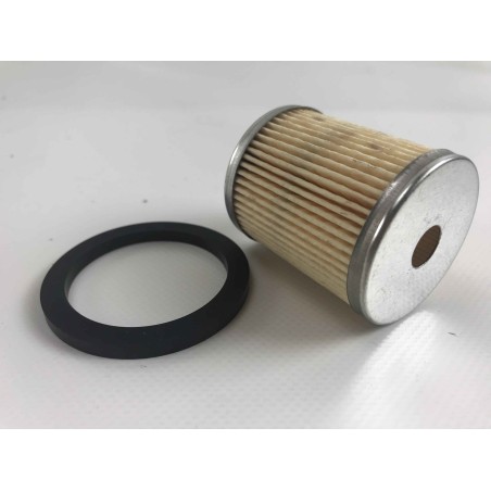 Diesel fuel filter with gasket LOMBARDINI diesel engine 6LD 2175.032