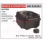 BRIGGS&STRATTON Kraftstofftank für Rasenmähermotor 020363