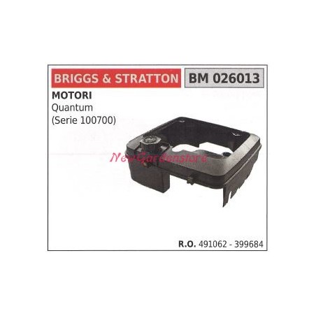 BRIGGS&STRATTON motor cortacésped depósito 026013 | Newgardenstore.eu