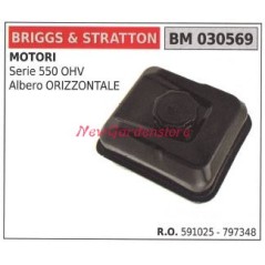 Serbatoio carburante BRIGGS&STRATTON motore tagliaerba rasaerba tosaerba 030569 | Newgardenstore.eu