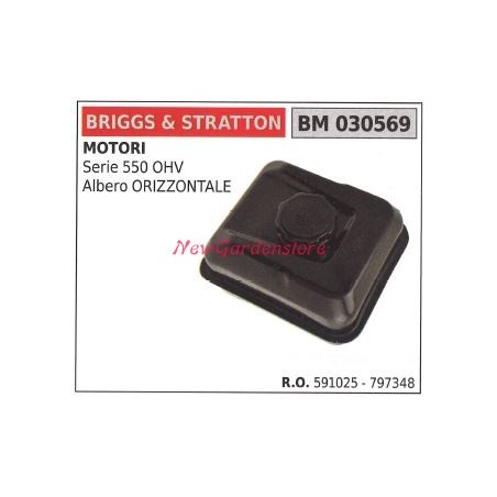 BRIGGS&STRATTON Motor Rasenmähermäher Kraftstofftank 030569 | Newgardenstore.eu