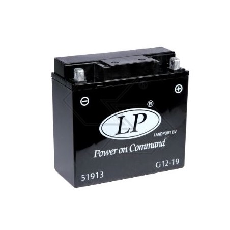 Battery for various models GEL 21 Ah 12 V pole + right | Newgardenstore.eu