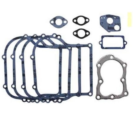 Gasket set BRIGGS & STRATTON engine 100200 130200 131200 132200 006889 | Newgardenstore.eu