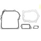 BRIGGS & STRATTON gasket set engine 110000 111000 112000 114000 006895