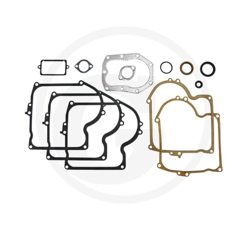 BRIGGS&STRATTON lawn mower engine gasket set 220700 251700 252700 | Newgardenstore.eu