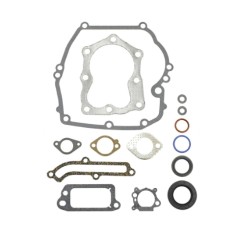 BRIGGS&STRATTON seal kit segment set 320023 493263 QUANTUM POWER XTL | Newgardenstore.eu