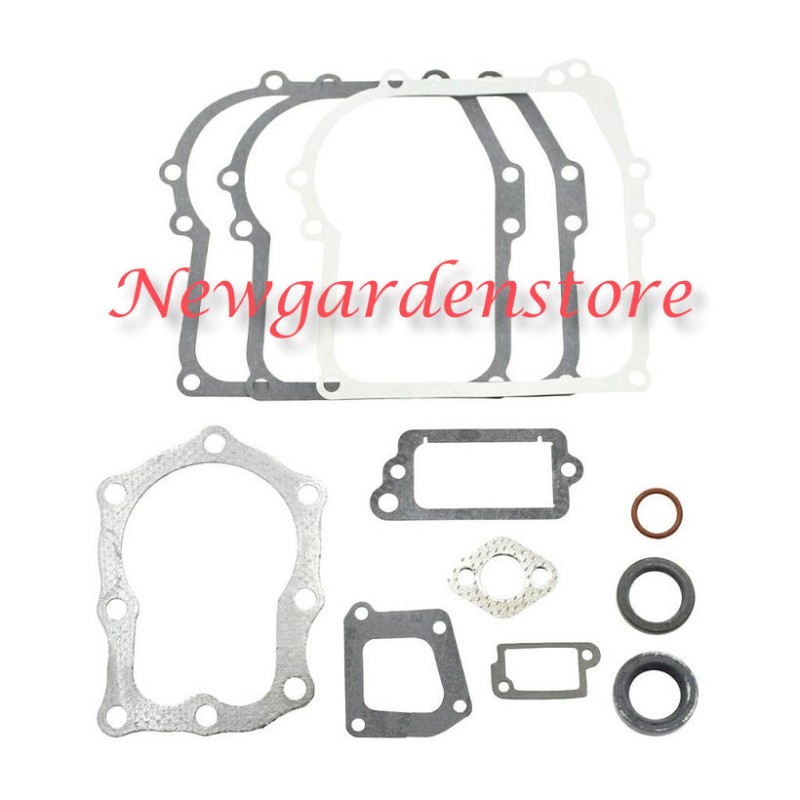 BRIGGS&STRATTON gasket set segments 320024 391662 old 4HP