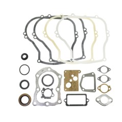 BRIGGS&STRATTON gasket set segments 320025 297616 old engines 5HP | Newgardenstore.eu