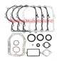 BRIGGS&STRATTON 320029 490525 49421 dernier 12 13HP segment set gasket set