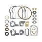 BRIGGS&STRATTON segment set gasket set 320032 495602 397144 old 3.5HP