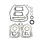 BRIGGS&STRATTON segment set seal kit 320035 497316 QUANTUM POWER XTL