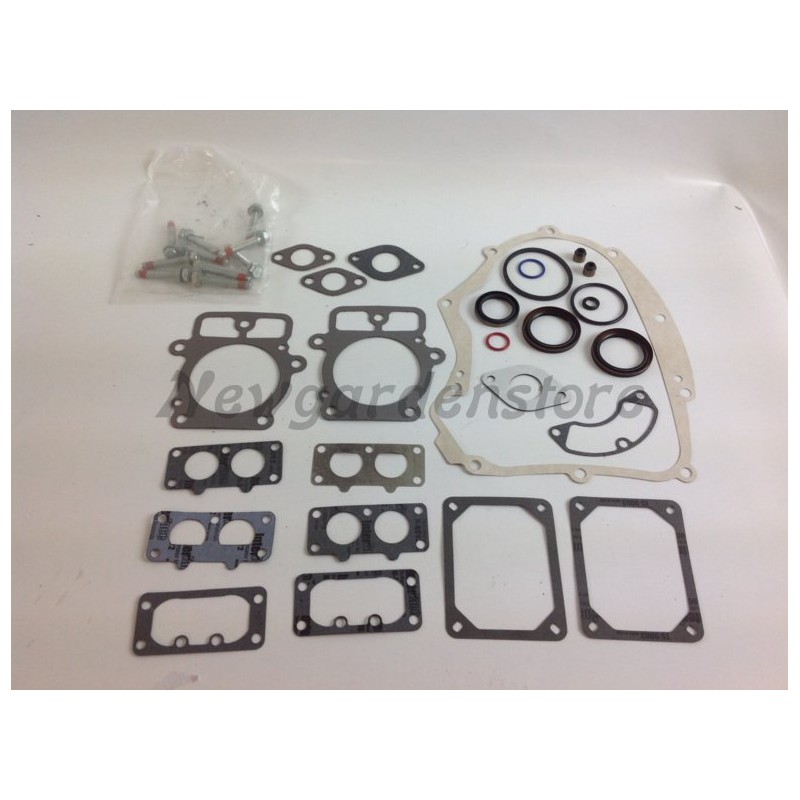 BRIGGS&STRATTON 320036 694012 INTEK 18 22HP segment set gasket set