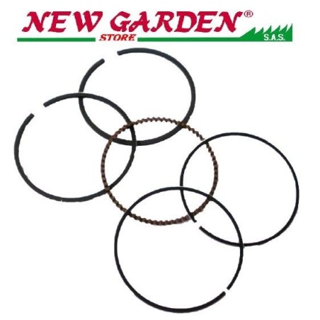 Segadora ZANETTI serie de segmentos adaptable ZBM160/200 B05.04.200 13010-Z0T-801 | Newgardenstore.eu