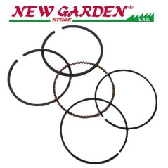 Serie de segmentos de cortacésped ZANETTI compatible ZBM340 B21.04.200 13010-ZE3-003 | Newgardenstore.eu