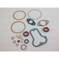 Gasket grinder set 720 723 725 7LD665 7LD665/C LOMBARDINI 8185.016