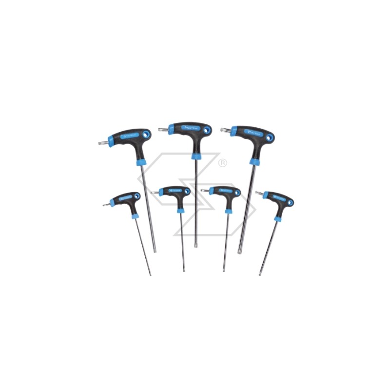 Set 7 chiavi acciaio zincate due teste torx impugnatura bimateriale ergonomica