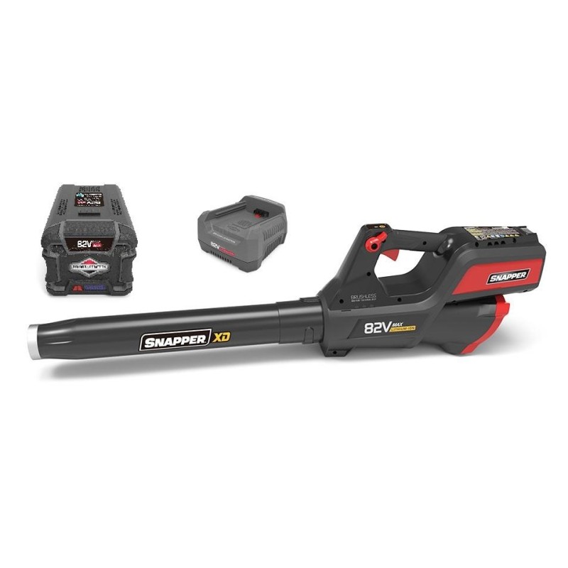 EBSRC82 - Cargador rápido de baterías Worx de 82 V