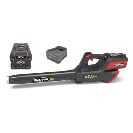 EBSRC82 - Worx 82V Schnellladegerät | Newgardenstore.eu