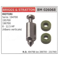 BRIGGS&STRATTON eje vertical pasador carburador serie 194700 cortacésped 494788