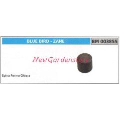 Par de engranajes cónicos de retención de pasador Desbrozadora BLUEBIRD 003855 | Newgardenstore.eu