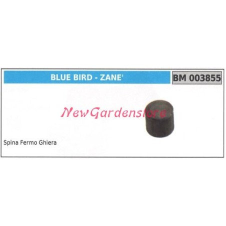 Par de engranajes cónicos de retención de pasador Desbrozadora BLUEBIRD 003855 | Newgardenstore.eu