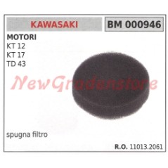 Spugna filtrante KAWASAKI motore KT 12 17 TD 43 000946 | Newgardenstore.eu