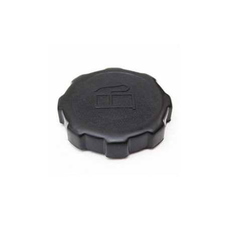 Fuel cap 550 750 VANGUARD 5.5 6.5 8 10HP BRIGGS&STRATTON 202043 794641 | Newgardenstore.eu