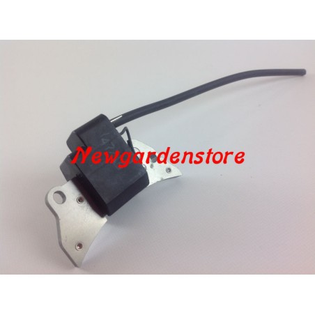 Coil 12125 compatible motor ACME A 220 iron magnet 106-123 131 1567-223 | Newgardenstore.eu