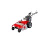 Mulcher MECCANICA BENASSI TR600 IDRO Motor B&S Arbeitsbreite 60cm