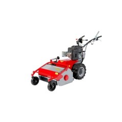 Mulcher MECCANICA BENASSI TR800 Hydro-Motor B&S Arbeitsbreite 75 cm