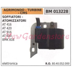 AGRIMONDO ignition coil for AT416 AT420 AT920 BMK816 engines 013228