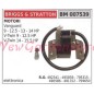 Briggs & Stratton Zündspule Briggs & Stratton Motoren Vanguard 9 12.5 13 14 HP Vtwin 9 HP