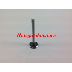 ORIGINAL lawn tractor engine valve KAWASAKI FH531V 12005-7003 | Newgardenstore.eu