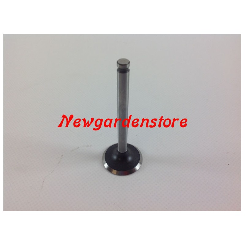 ORIGINAL lawn tractor engine valves KAWASAKI FH531V 120047003Vari...