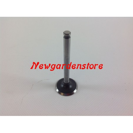 ORIGINAL lawn tractor engine valves KAWASAKI FH531V 12004-7003 | Newgardenstore.eu