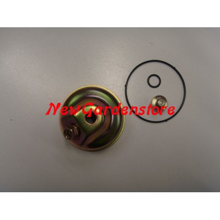 Rasentraktor Mähwerk Vergaser Motor Kolben 223003 HONDA 16015-ZE8-005